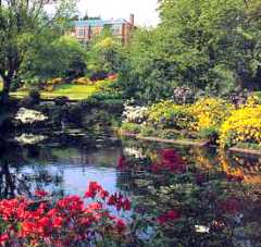 Hodnet Hall
                  Gardens